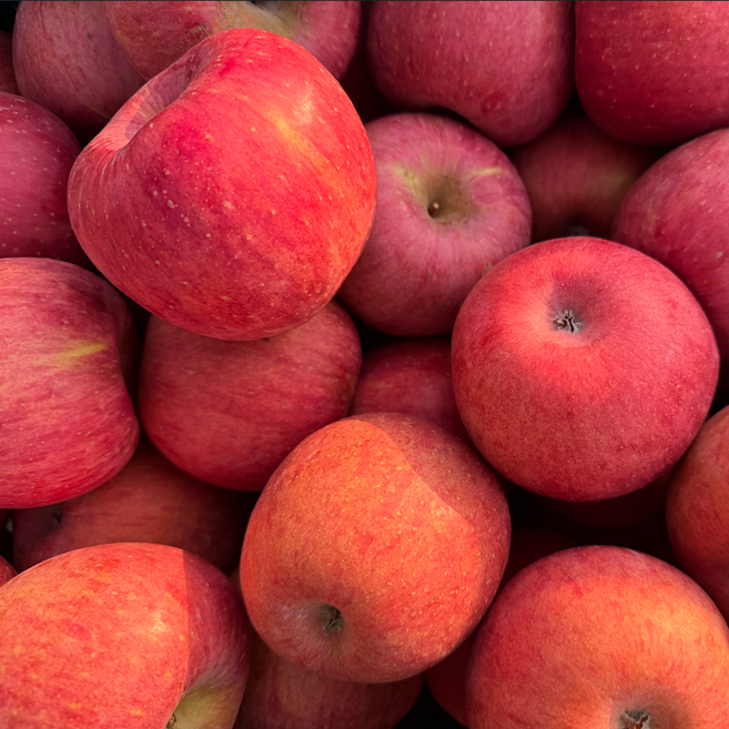 [선물용] 정품 고당도 부사사과 초특가, 1개, 중소과 5kg