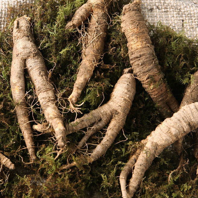 [특A급횡성직송] 국산 생 흙 더덕, 1박스, 1kg(중)