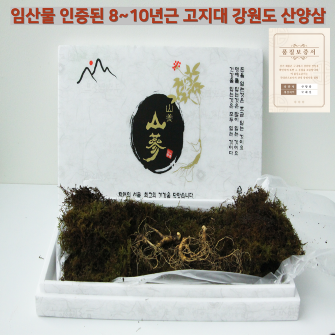 [ 선물대전 ] 임산물 인증된 산지출고 8~10년근 프리미엄 산양삼 선물세트 호도선물 명절 선물, 1개, 산양삼 선물세트 5뿌리