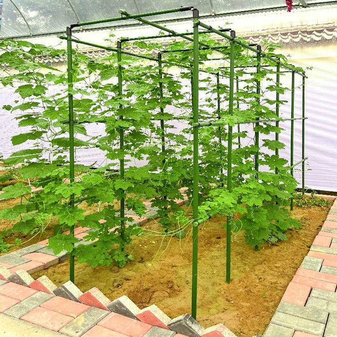 Mexholin식물 지지대 토마토 오이 콩 플라워 넝쿨 지지막대Mexholin, 60 폭x120길이x 120 높이 3x3x6