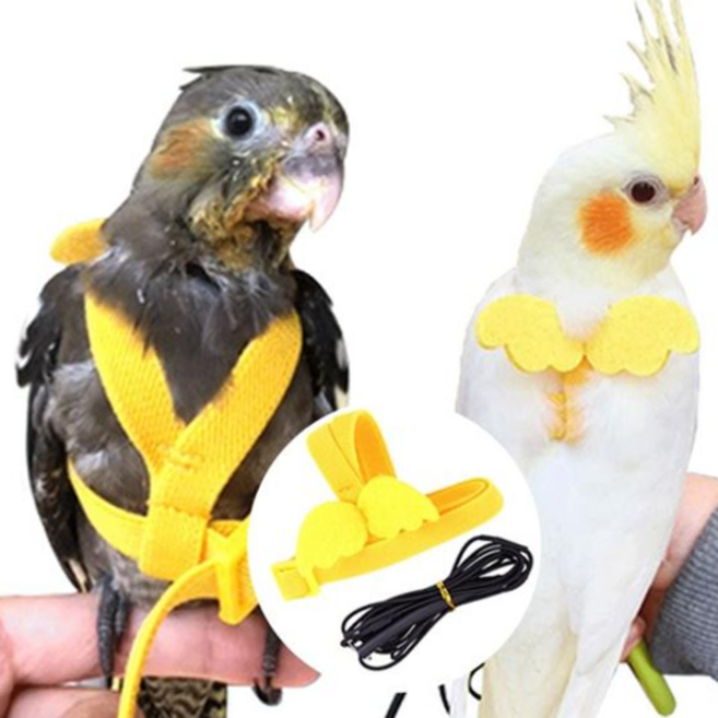 회색앵무 앵무새 반려새 하네스 발목링 산책 리드줄, 2-앵무새하네스-S, 1개, 2-앵무새하네스-S
