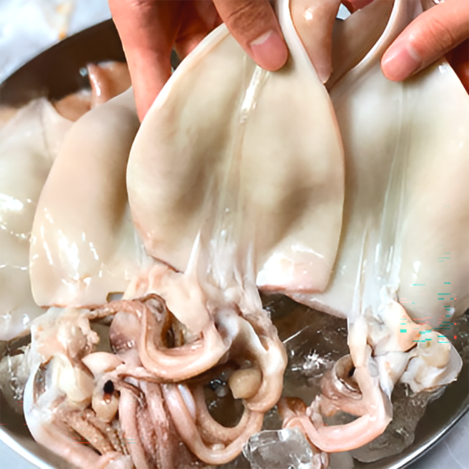 두툼한 생물 급냉 냉동 오징어 손질오징어, 1세트, 2미(300~350g)