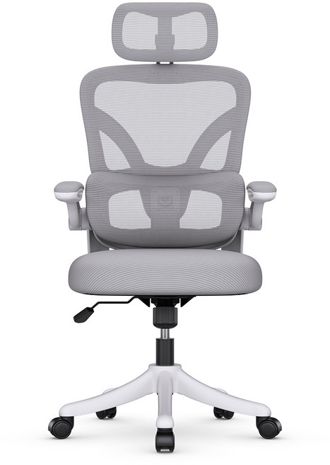 파라이프 허리에 좋은 책상 컴퓨터 의자 공부 학생 회의실 의자, 그레이