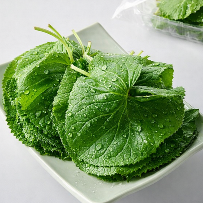 산지직송 인제 곰취나물 양구 곰취, 500g, 1박스