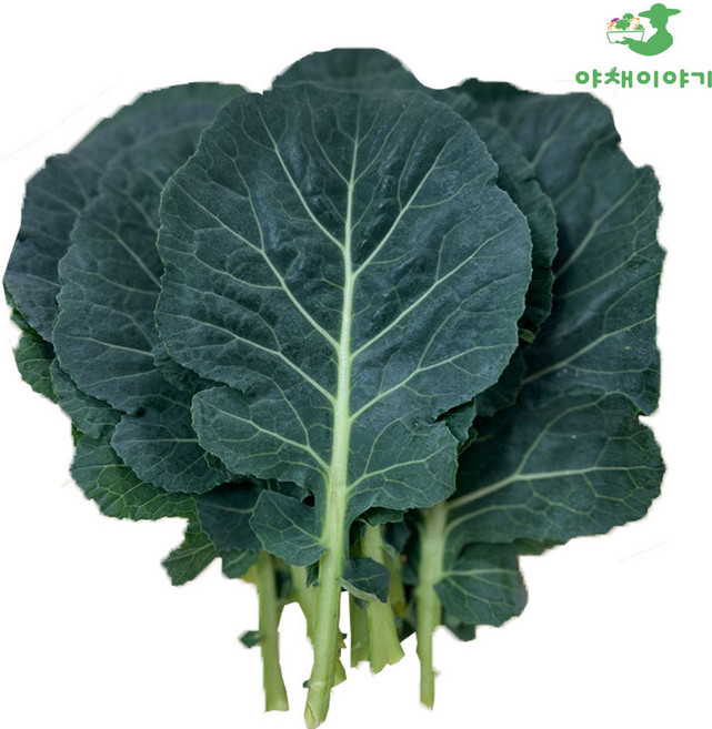 야채이야기 쌈케일 2kg (1.8-2kg) 케일 쌈 채소, 1박스