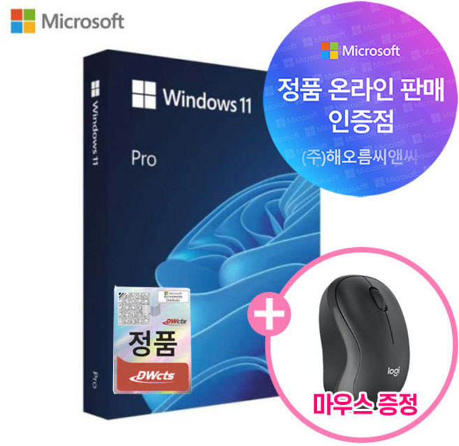 MS정품인증점 마이크로소프트 윈도우11 프로 FPP USB 타입 제품키 + 무선마우스증정, 윈11프로FPP+로지텍마우스
