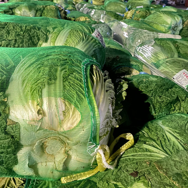 국내산 포기배추 망배추 강원도 고랭지 해남 배추 1망, 1망(52망_11~13kg), 1개, 13kg