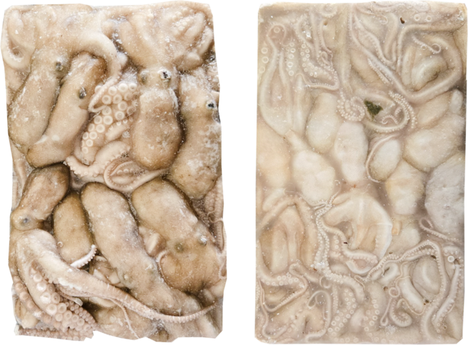 냉동낙지 오돌 활 낙지 급냉 도매 업소용 대용량, 사이즈 : 활낙지 8미, 1박스, 5.1kg