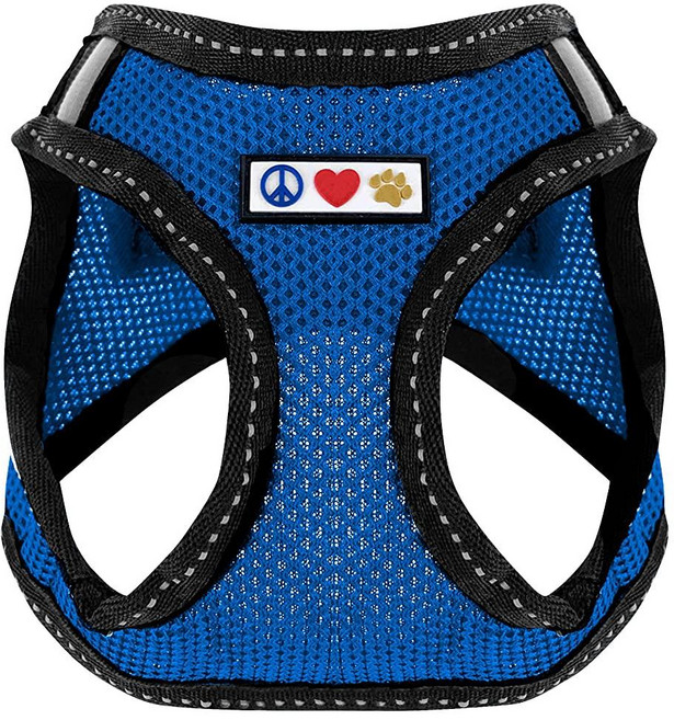 Pawtitas 통기성 있는 에어 메쉬로 만든 강아지 조끼 하네스 | 엑스트라 스몰 및 고양이를 위한 전천후 하네스 퀵 릴리즈 버클 포함 - 그린 메시, Medium (Pack of 1), 블루