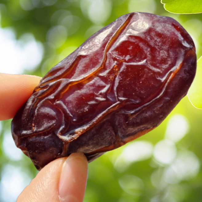 26년 1월 생산 [최고급 메드쥴품종] 대추야자의 왕 1kg, 1개, 이스라엘산 메드쥴 품종 대추야자 1kg