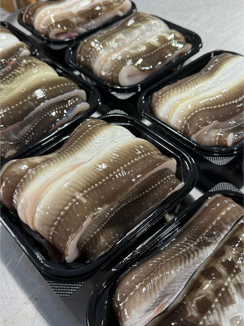 [즉시손질]통영 자연산 바다장어 2~3미 특대 손질 구이용 깨끗한 포장, 1개, 2kg(4미)