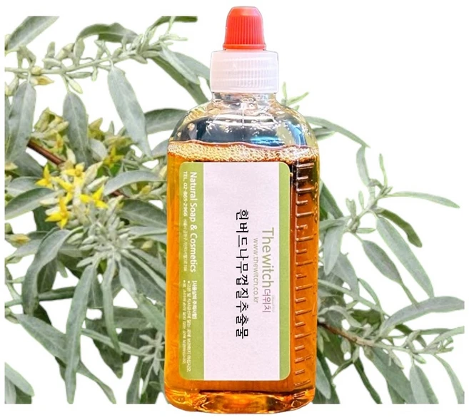 [더위치] 흰버드나무껍질추출물 100ml 화이트윌로우껍질추출물 Willow Bark Extract Salix Alba 84082-82-6, 1개 - 쿠팡