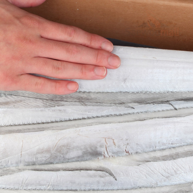 새우몰 제주 낚시 은갈치 3지 10kg 30-33미내외 선동 2025년 신물, 1개