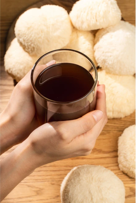 깐깐한농부 노루궁뎅이버섯 액기스(진한), 100mg, 60개 - 쿠팡