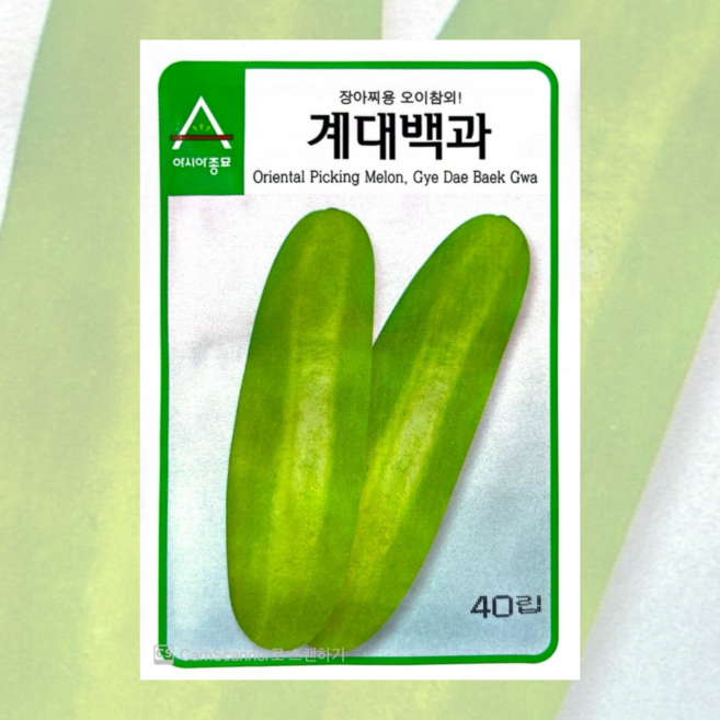 계대백과 오이참외씨앗 40립 26년포장 장아찌용 오이참외종자