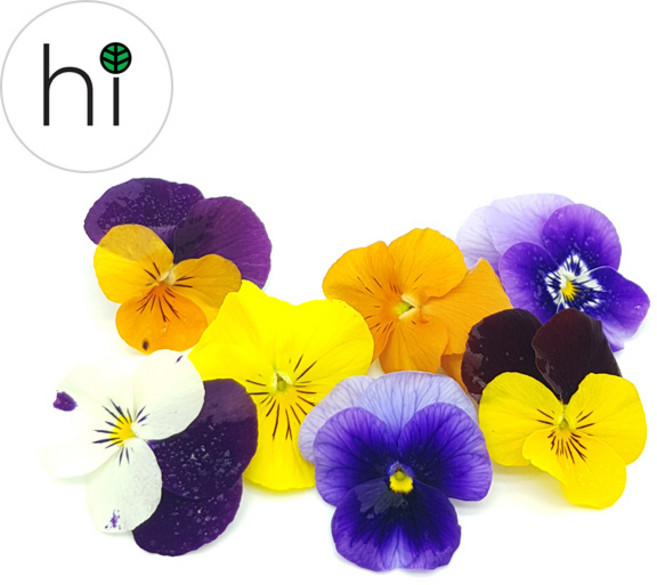 [허브아이] 식용꽃 비올라 먹는꽃 30송이, 30개