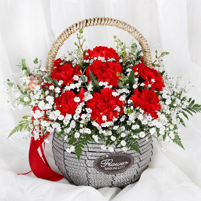 (오늘도착) 어버이날 카네이션 꽃바구니 레드카네이션 안개꽃 생화 부모님선물 어버이날선물 카네이션꽃바구니 효도선물 당일꽃배달 [ST-A1800]