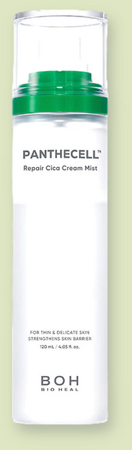 바이오힐보 판테놀시카 배리어 크림미스트 120mL, 240ml, 1개