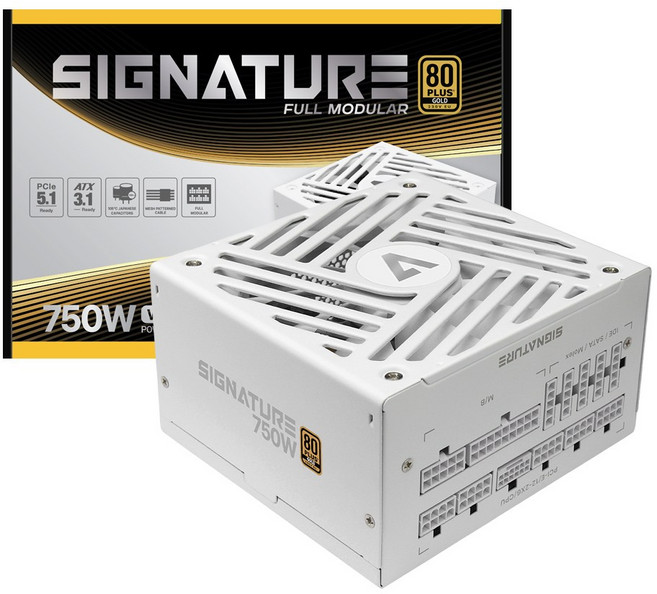 AONE 시그니처 750W 80PLUS 골드 풀모듈러 ATX 3.1 화이트 PC 파워, 시그니처 750W GOLD  WH