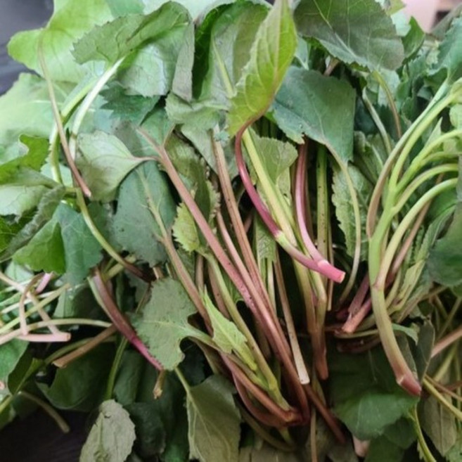 생취나물 1kg, 1개