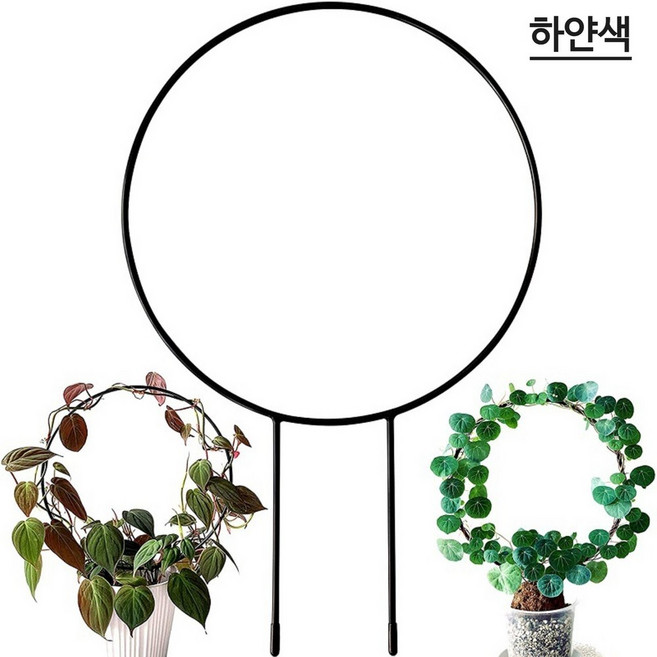 넝쿨 식물 지지대 원형 하트 화초 지주대 [오디가 ODIGA], 하얀색(White), 5번 디자인, 1개