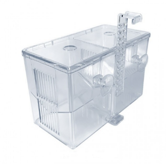 어항 산란통 걸이형 아크릴 격리통 치어분리 수조, 1개