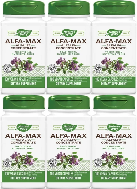 네이처스웨이 알파 맥스 농축 알팔파 420mg, 6개, 100정 - 쿠팡