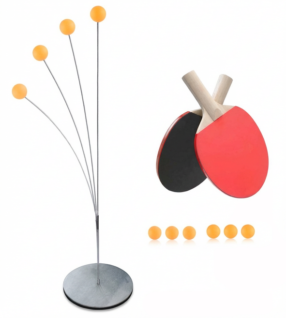 탁구연습기, 1개