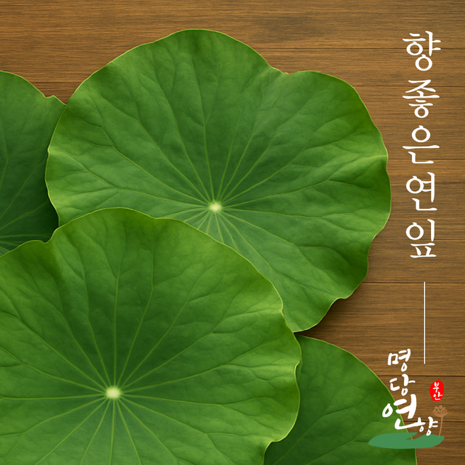 [25년수확] 연잎(햇연잎) 명당연향 1KG 2KG(옵션선택가능) 최고급품질 연잎전문가의 10년 내공 향부터 다릅니다, 1개
