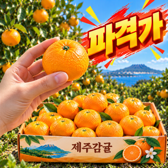 [산지직송] 고당도 제주 귤 타이벡 감귤, 1박스, 3kg 로얄과