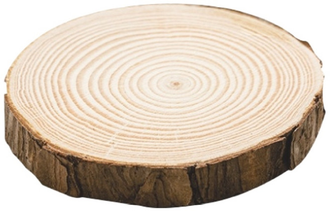 木紋松木杯墊 公仔底座 拍攝道具 景觀裝飾, 03.中款7-8cm(厚度1cm), 1個
