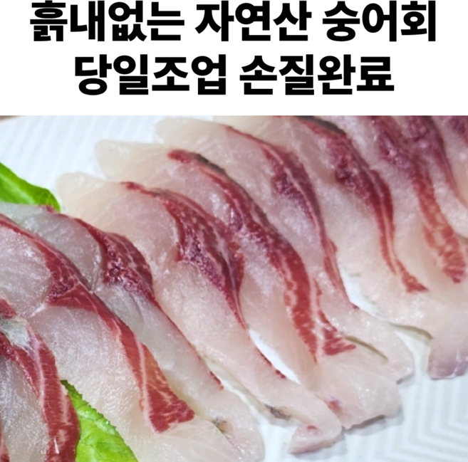 제철회 자연산 숭어회 보리숭어 회 필렛 생선회, 1세트, 숭어회 300g
