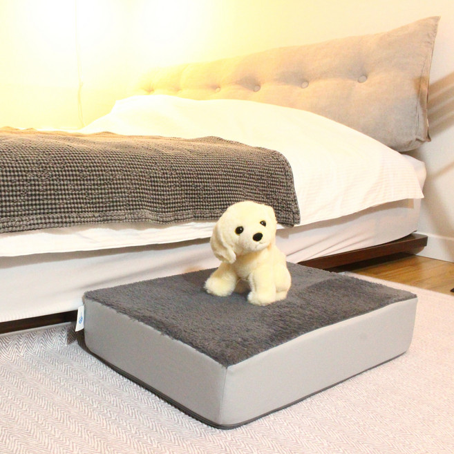 8DECO 강아지 침대 계단 (스펀지 포함) 가디언, 가디언 차콜, 1개