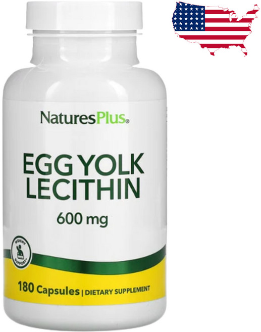 네이처스플러스 난황 레시틴 300mg 180캡슐 콜레스테롤 포스파티딜콜린, 1개