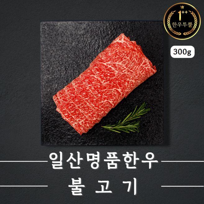 한우 투뿔 불고기(냉동 요리용 300g) 한우1++NO.9/일산명품한우, 1개