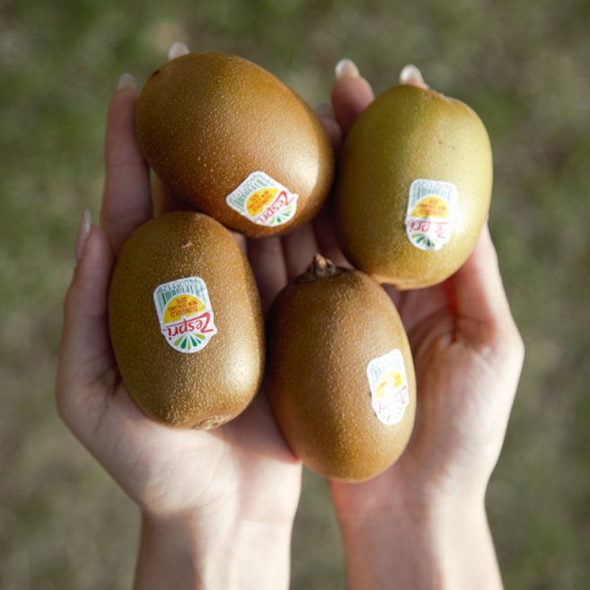 25년첫입항 정품 제스프리 골드키위 고당도 직수입, 1박스, 소과 1kg