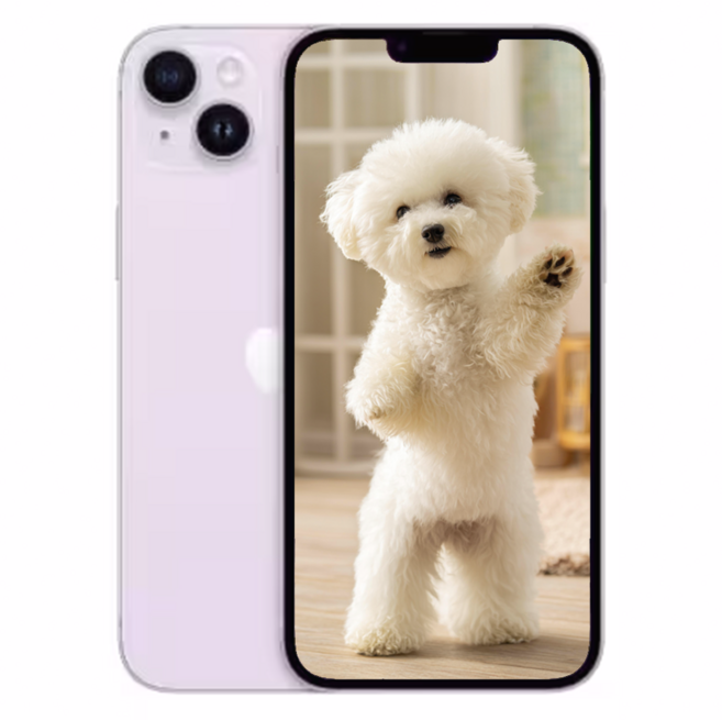 아E폰 14 새상품 미개봉, 256GB, Apple 아이폰 14 퍼플