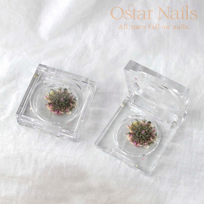 Ostar Nails 韓風油畫乾燥花 指甲飾品 美甲材料, 1個, 韓風油畫乾燥花單入(隨機)