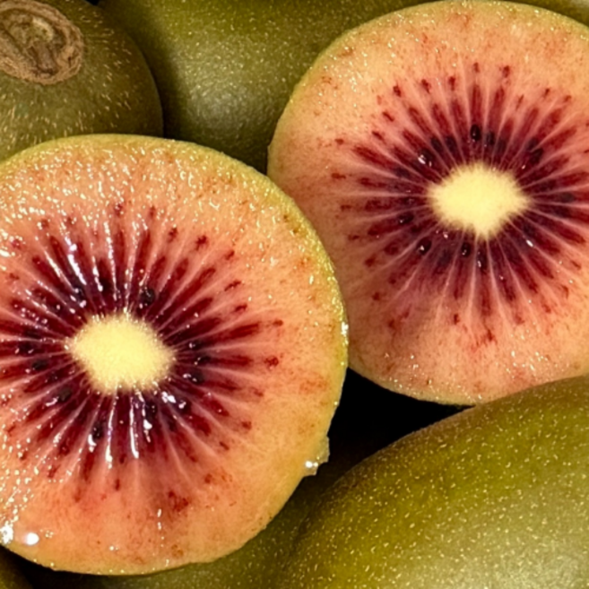 [하루100박스한정] 초고당도 제스프리 루비 레드키위, 10개, 중과 (개당 85g)