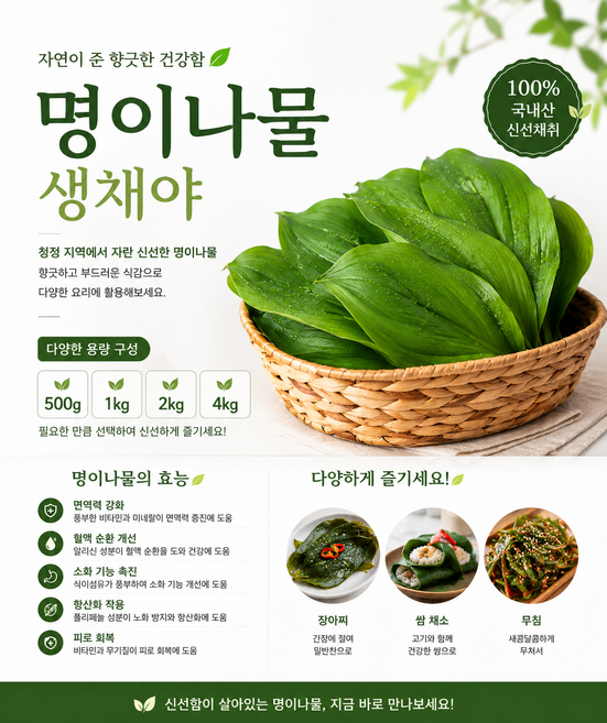 100% 유기농 울릉도 잎명이나물(산마늘) 생채 / 신선함이 살아있는 산마늘 생채 다양한 활용 고기랑 찰떡궁합 건강채소 명이나물 생채소 가정용 업소용 쌈채소, 1개, 1kg