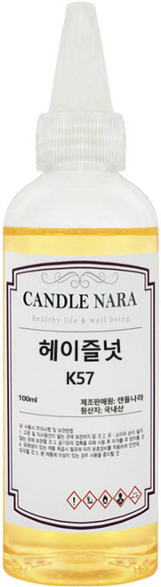 캔들나라 발향력 좋은 프래그런스 오일 원액, 1개, 100ml, 57_헤이즐넛