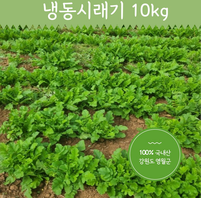 냉동 시래기 10kg 부드럽고 맛이좋은 산지직송 영월시래기, 1개