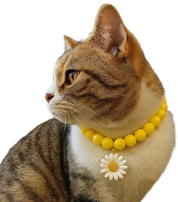 [라루나] 반려동물 강아지 고양이 데일리 산책 목걸이, 1개, 데이지노랑