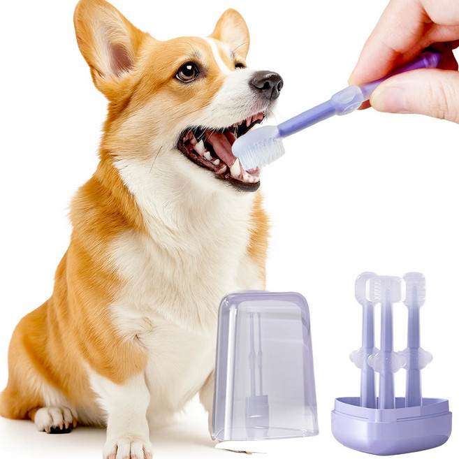 견행묘행 강아지 칫솔 실리콘 3종 칫솔키트, 1세트, 퍼플