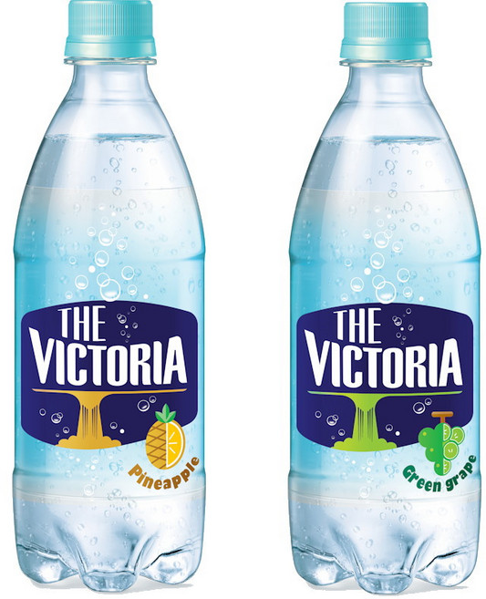 빅토리아 청포도 20펫+파인애플 20펫 탄산음료 500ml2박스총40펫, 40개, 500ml