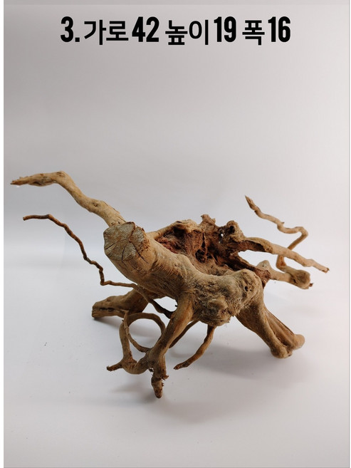 맹그로브 유목 (파충류 놀이터 은신처 선텐실 쉼터 테라리움 비바리움 수초활착 솟대 횃대), 1개