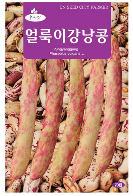 얼룩이 강낭콩 씨앗 콩씨 70립, 1개