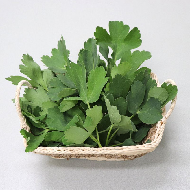 농산물마루 제철 국내산 참나물, 1박스, 1kg