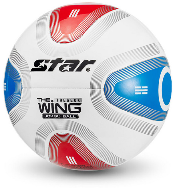 스타스포츠 족구공 더 윙 태극 플러스 (8판넬) (JB435), 더 윙 +   JOYBE 가방, 1개