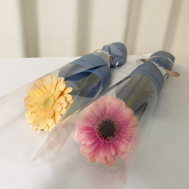 8위 - 오후의 꽃 생화 꽃 한송이 카네이션 장미 칠순 돌 답례품 선물, 1개, 거베라 연한색